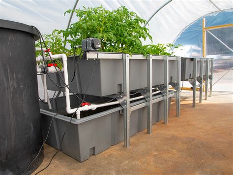 Aquaponic Growing System By The Greenhouse Company