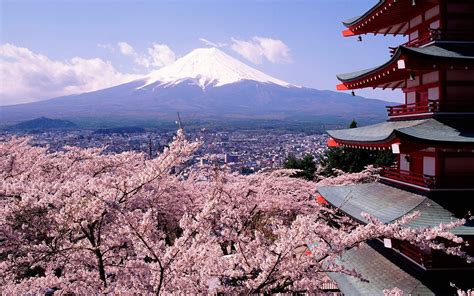 Wallpaper Japan Cherry Blossom Mount Fuji 1920x1200 Rudrachl