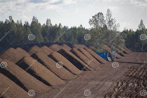 Peat Harvesting Field With Piles Of Harvested Peat Stock Image Image