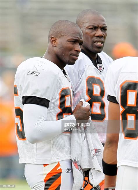 Chad Ochocinco And Terrell Owens Of The Cincinnati Bengals Are News