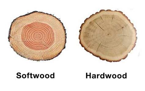 Types Of Hardwood And Softwood Diy Doctor