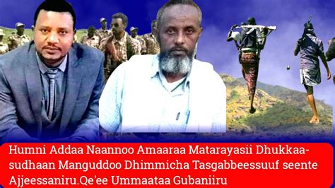 Oduu Voa Afaan Oromoo Mar 222021 Youtube