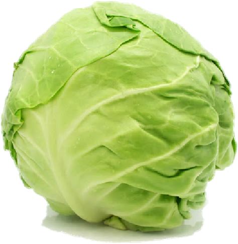 Cabbage Png Pic Png Arts