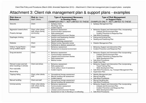Management Plans Risk Plan Example Project Sample Pdf For For