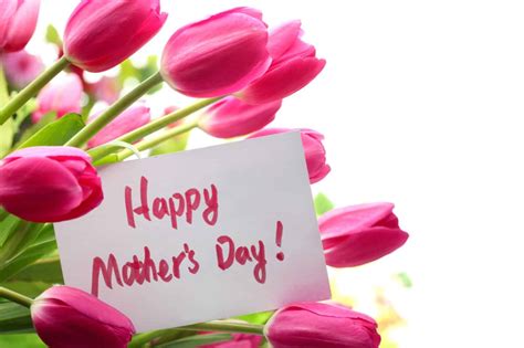 Her persistence paid off in 1914 when president woodrow wilson signed a measure officially establishing the second sunday in may as mother's day. Mothering Sunday Update - Maids Head Hotel