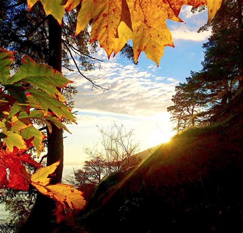 15 Places To See Fall Foliage In Metro Vancouver 604 Now