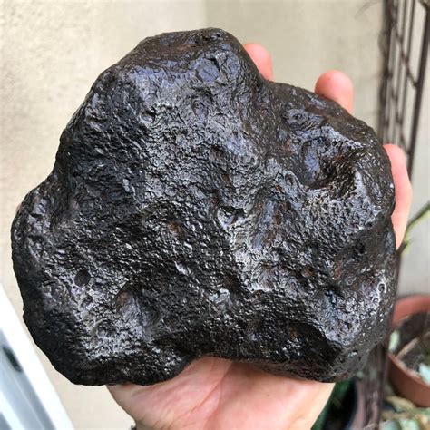 Rare Massive 905lb 4122g Xxl Authentic Iron Meteorite Specimen