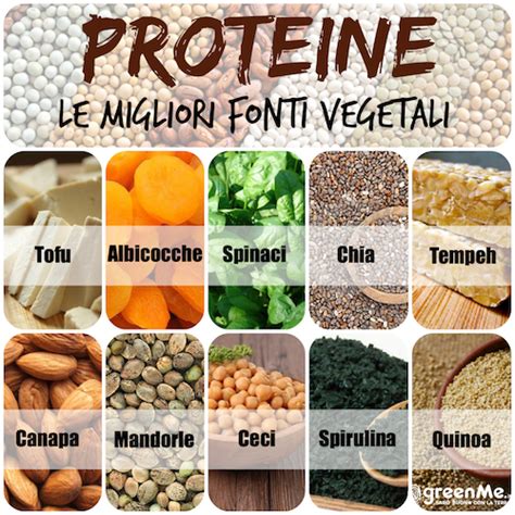 Le 10 Migliori Fonti Vegetali Di Proteine Artofit