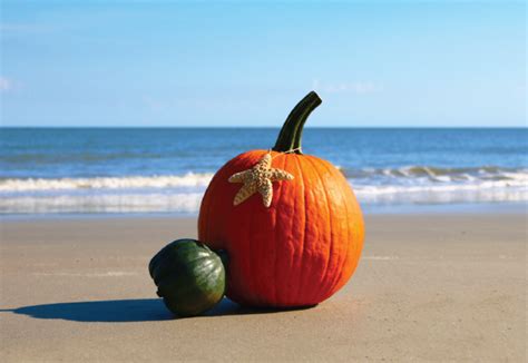 Fall At The Beach Piccard Homes