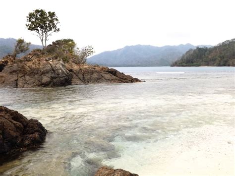 Panorama Indah Teluk Kiluan Dan Pulau Kelapa Tanggamus Lampung