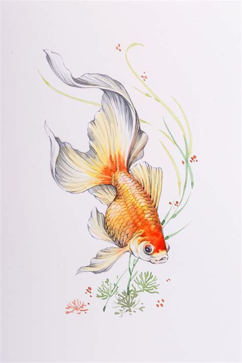 Original Hand Painted Koi Fish Painting Realistic Pond Colored Fish