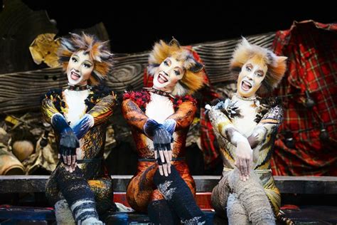 Cats Broadway Cast 2016 Digital Lottery Announced For Current