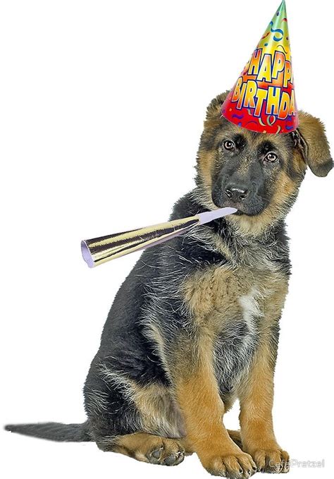 German Shepherd Birthday By Cafepretzel Happy Birthday Dog Happy