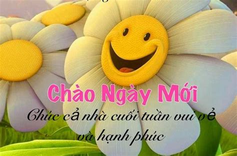 Tải 99 Hình ảnh Chào Buổi Sáng Chào Ngày Mới Chúc Buổi Sáng Hình