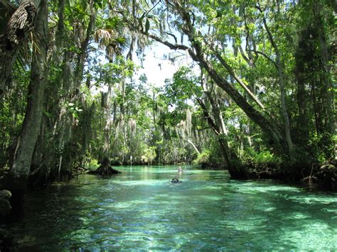 Three Sisters Springs Images Crazy Gallery Florida Springs Old
