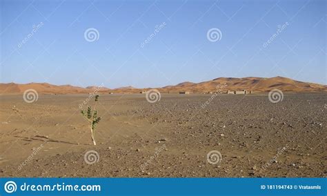 Desert Wasteland Sand Dune Sahara Stock Image Image Of Sand Summer