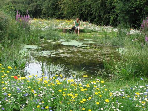 A True Wildlife Pond Full Of Life Wildponds