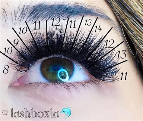 Instagram 上的 Lashbox La： Today We Want To Share Our Favorite Lash Map