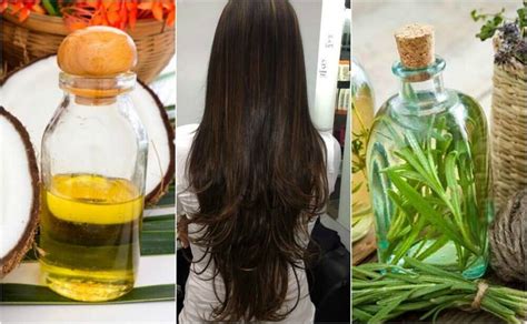 Stimulate Hair Growth With This Homemade Treatment Step To Health