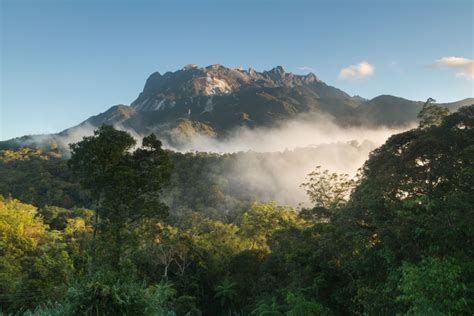 Borneo Berührendes Naturwunder Geo