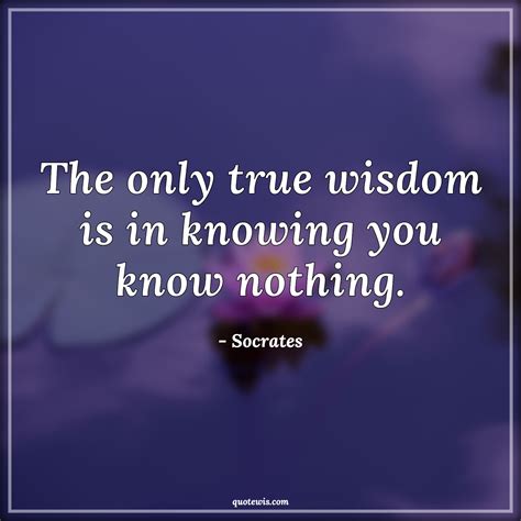 The Only True Wisdom Is In Knowing You Know Nothing Quotewis Com