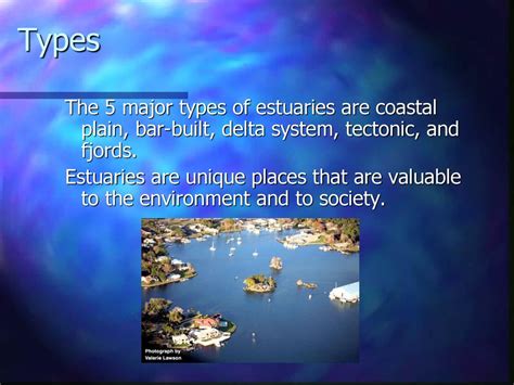 What Is An Estuary By Ms Aldridge Ppt Download