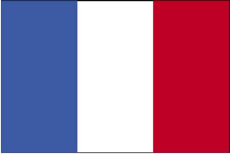 France's flag (sometimes called the 'tricolor') was adopted in 1789. Franta - Politicall.ro