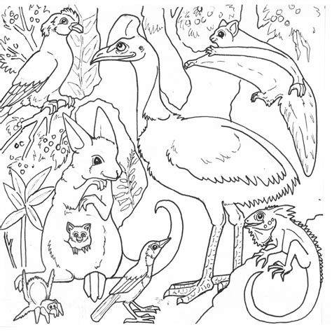 Free Rainforest Animals Coloring Pages Free Download Free Rainforest