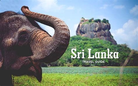 Sri Lanka Travel Guide Everything You Need To Know Before Traveling