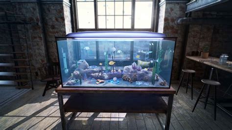 Dream Aquarium Fish Tanks Seotmseoir