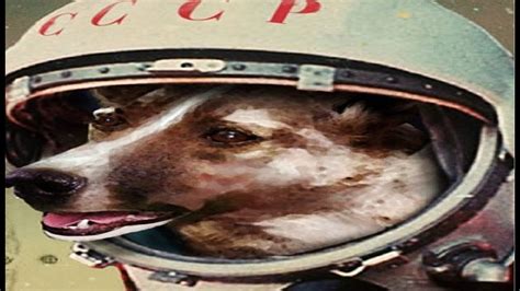 El Perro Astronauta Laika El Primer Astronauta Youtube