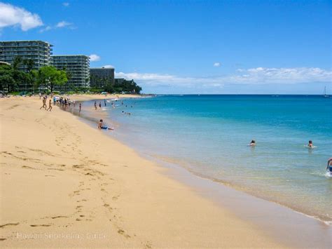 Kaanapali Beach And Black Rock Snorkeling Secrets Local Insider Advice