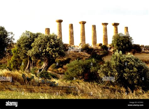 El Templo De La Concordia En Agrigento Grecia Griego Templo Romano De