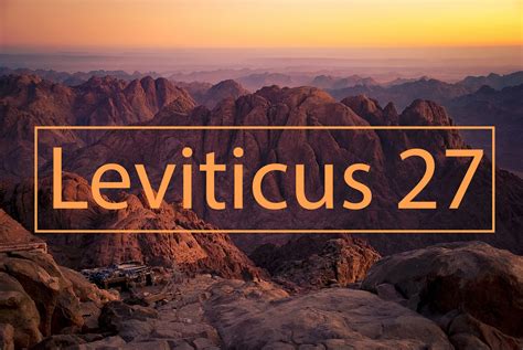 Leviticus The Warehouse Bible Commentary By Chapter