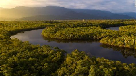 Amazônia Os Povos Da Floresta E O Econegócio Biodiversidad En