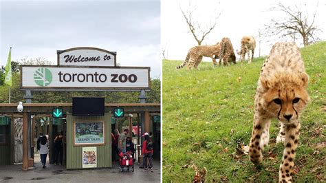 Toronto Zoo Toronto Zoo Go Travel Canada Toronto Zoo Tour