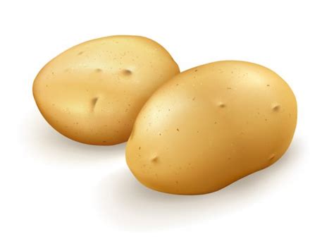 Raw Potato Stock Vectors Royalty Free Raw Potato Illustrations