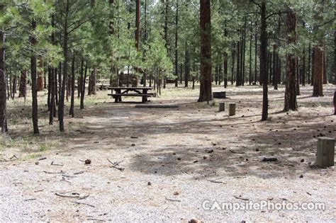 Jemez Falls Campsite Photos Campsite Availability Alerts