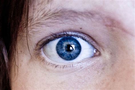 Científicos Dicen Que Todas Las Personas Con Ojos Azules Tienen Una