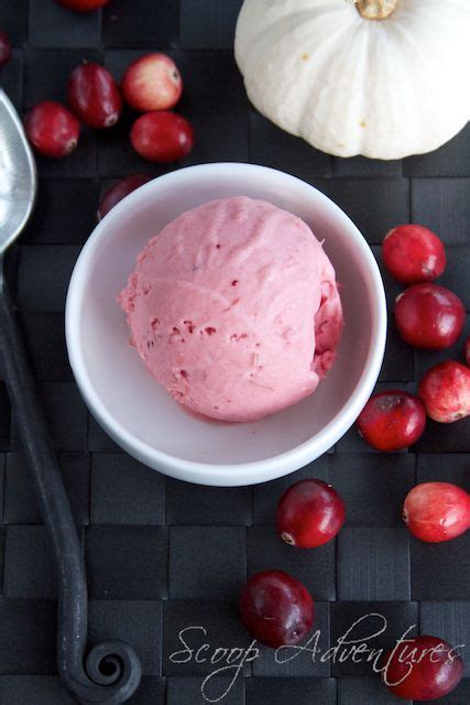 Cranberry Ice Cream Scoop Adventures Recipe Frozen Treats Recipes