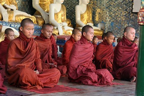 Meditating Monks Meditating