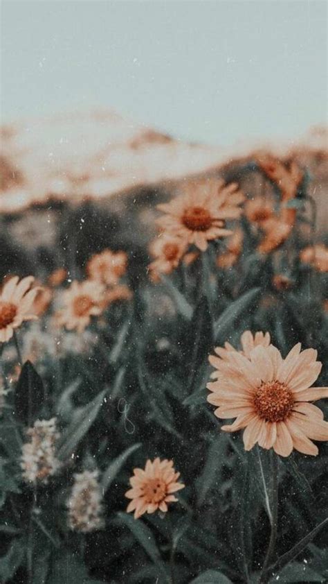 30 Aesthetic and Vintage iPhone Wallpaper Ideas - Fancy ...