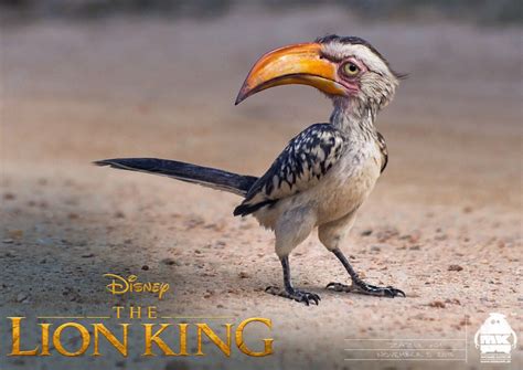 the lion king 2019 zazu poster Zazu Lion King, Lion King Art, Disney