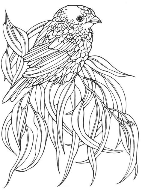 Color these five birds flying in front of a japanese cherry tree. Bird coloring pages image by Coloring Fun on Birds ...