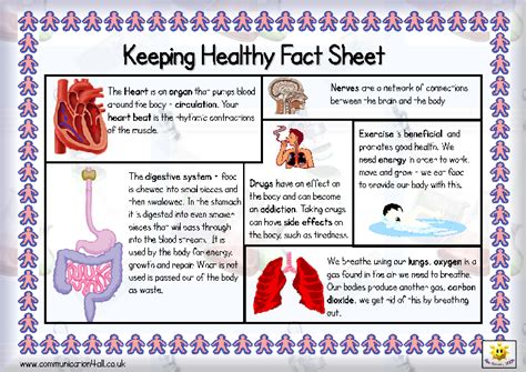 healthy: healthy living poster ks2