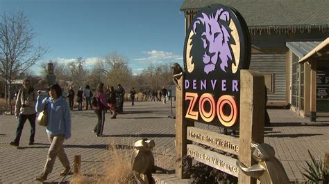 A Denver Guide To The Zoo Cbs Colorado