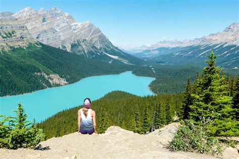 Peyto Lake Canada Everything You Need To Know About It