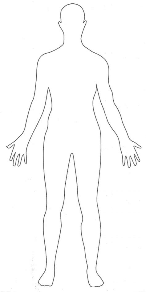 Here S An Outline Of The Human Body Body Template Human Body