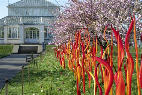 Reflections On Nature By Dale Chihuly Be Open Blog