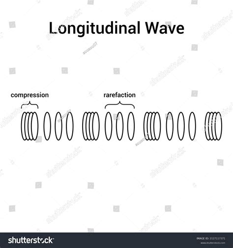 Longitudinal Wave Diagram Physics Stock Vector Royalty Free